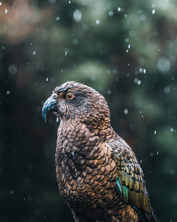 PAST EVENT - The Business of Travel Photography with Harry Dinnen - August 24th 2024