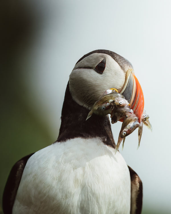 PAST EVENT - The Business of Travel Photography with Harry Dinnen - August 24th 2024