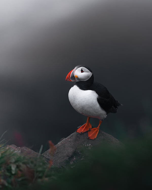 PAST EVENT - The Business of Travel Photography with Harry Dinnen - August 24th 2024