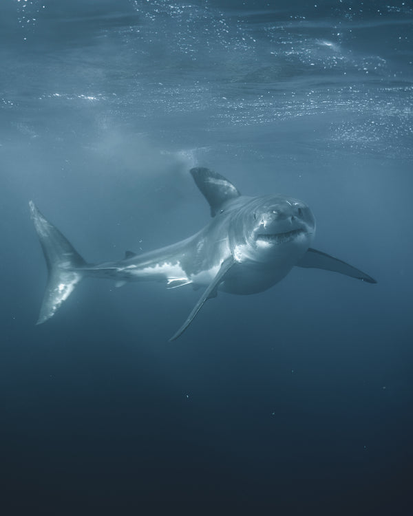 PAST EVENT - The Business of Travel Photography with Harry Dinnen - August 24th 2024