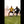 Load image into Gallery viewer, Canon R1 + R5ii Soccer session - Dec 19th 2024