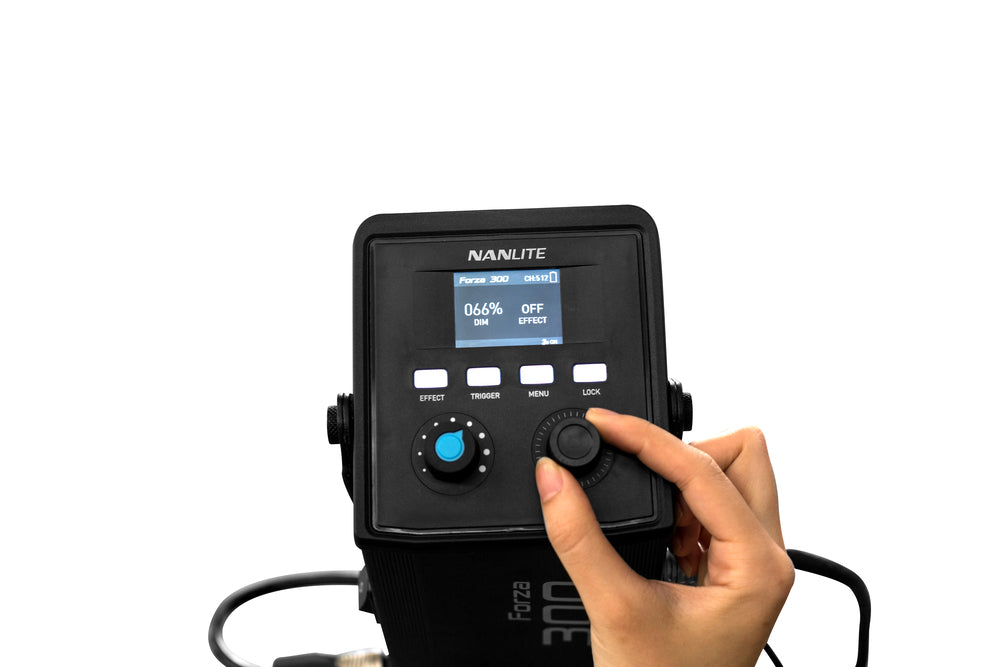 Nanlite Forza 300 5600K LED monolight